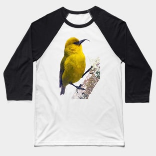 ‘Ākiapōlā’au, Hawaiian Bird #2 Baseball T-Shirt